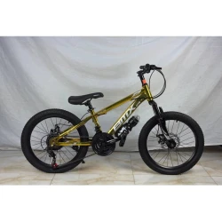 Velosiped GTR119_20 Gold