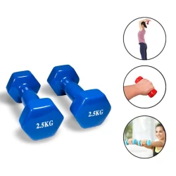 Набор гантелей WS0023, 2 шт x 2.5 кг, синий Набор гантелей WS0023, 2 шт x 2.5 кг, синий