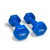 Набор гантелей WS0023, 2 шт x 2.5 кг, синий Набор гантелей WS0023, 2 шт x 2.5 кг, синий