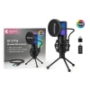 Беспроводной микрофон Yanmai SF-777W RGB Беспроводной микрофон Yanmai SF-777W RGB