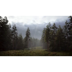 Oyun Hunting 2 Simulator PS4 English