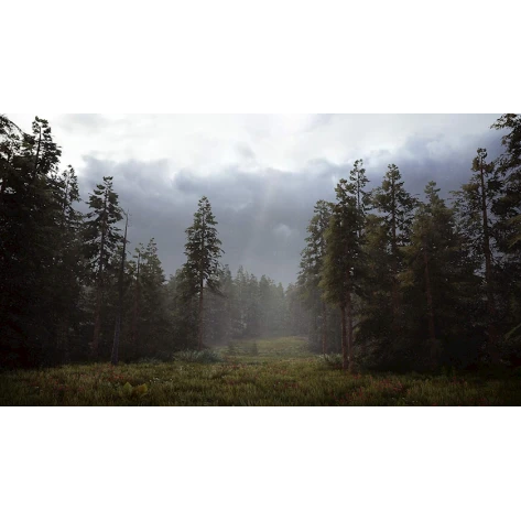 Oyun Hunting 2 Simulator PS4 English