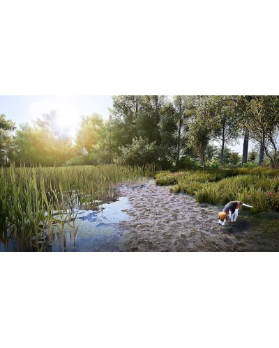 Oyun Hunting 2 Simulator PS4 English