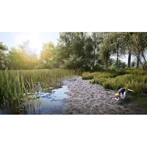 Oyun Hunting 2 Simulator PS4 English