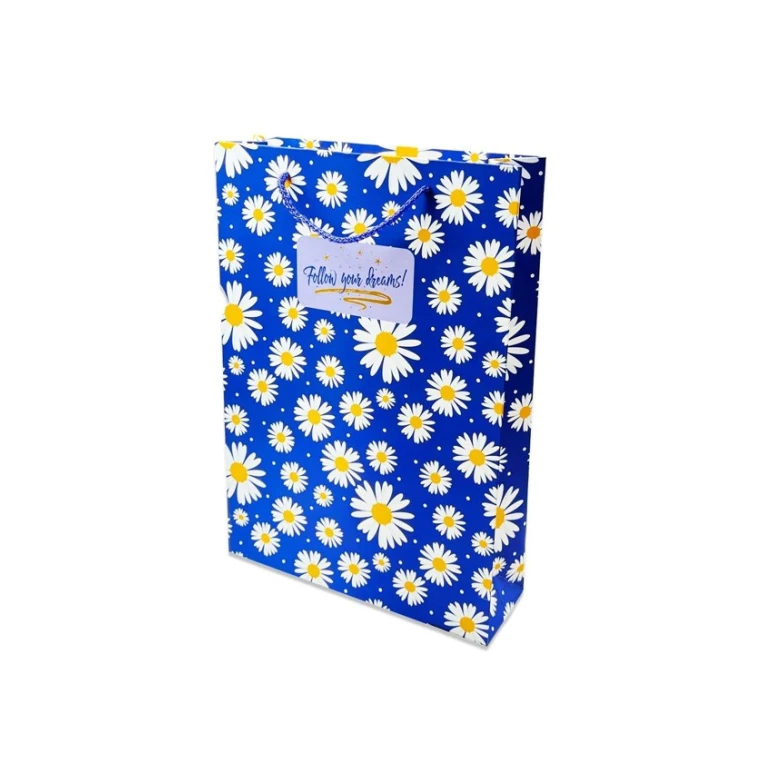 Hədiyyəlik paket Follow Your Dreams, 36x25 sm