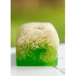 Мыло Escabel Cosmetics Aloe Vera с тыквенными волокнами 120 г