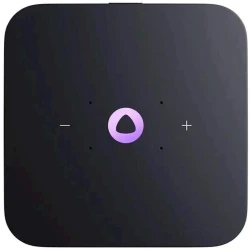 Умная колонка Yandex Midi YNDX-00054EMD