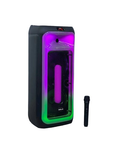 Akustik sistem DR-1028