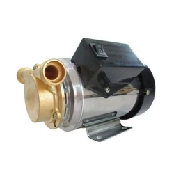 Водяной насос Bramex WG260 Водяной насос Bramex WG260