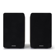 Akustik sistem Aiwa SP-A100