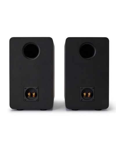 Akustik sistem Aiwa SP-A100