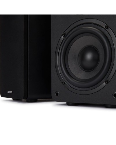 Akustik sistem Aiwa SP-A100