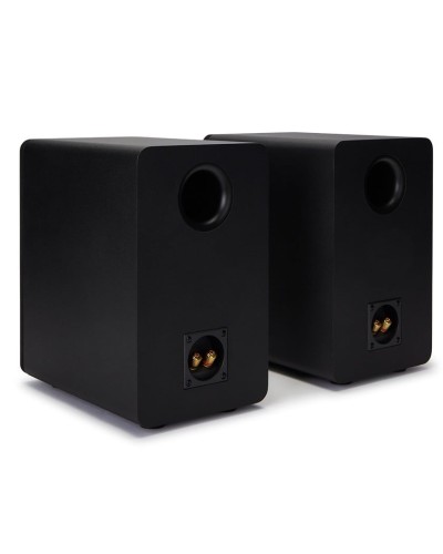 Akustik sistem Aiwa SP-A100