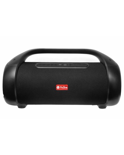 Portativ dinamik ProOne PSB4944