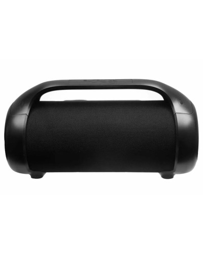 Portativ dinamik ProOne PSB4944