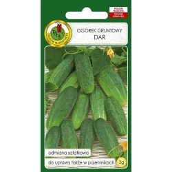 Семена овощей PNOS Огурец Gruntowy Dar, 3 г Семена овощей PNOS Огурец Gruntowy Dar, 3 г