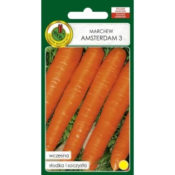 Семена овощей PNOS Морковь Amsterdam 3, 50 г