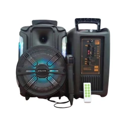 Portativ dinamik KTS 1175 Black