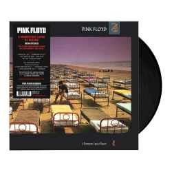 Виниловая пластинка Pink Floyd Records Pink Floyd - A Momentary Lapse Of Reason