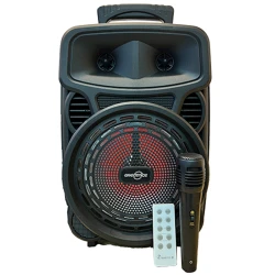 Portativ dinamik GTS-1699