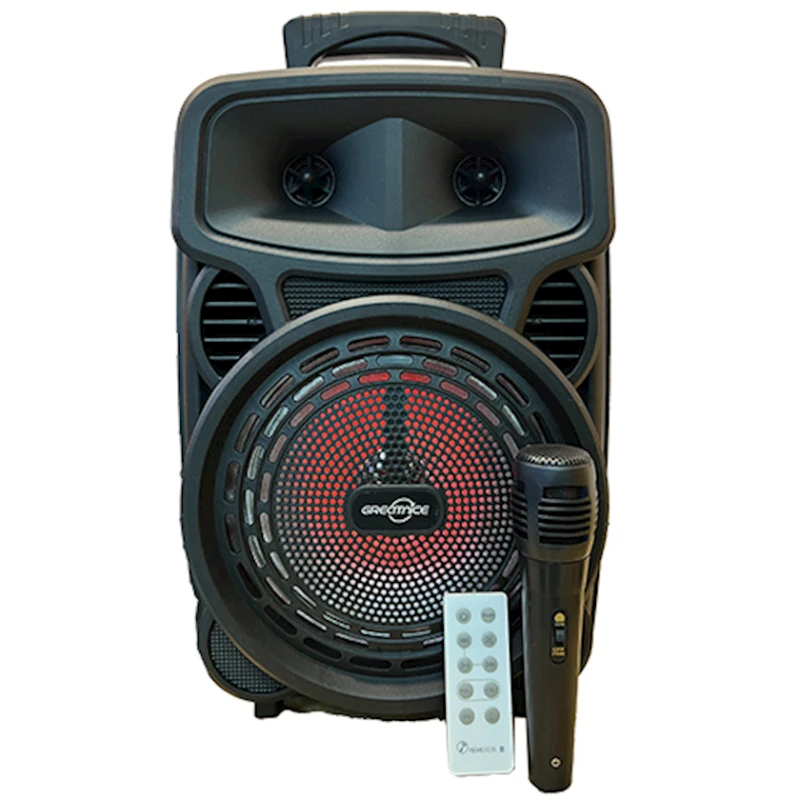 Portativ dinamik GTS-1699