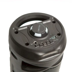 Portativ dinamik BDT BD-8879 Black