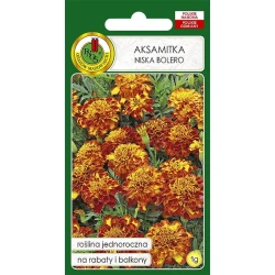 Семена цветов PNOS Aksamitka Niska Bolero, 1 г