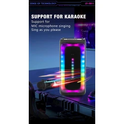 Портативная колонка LY-5511 Портативная колонка LY-5511