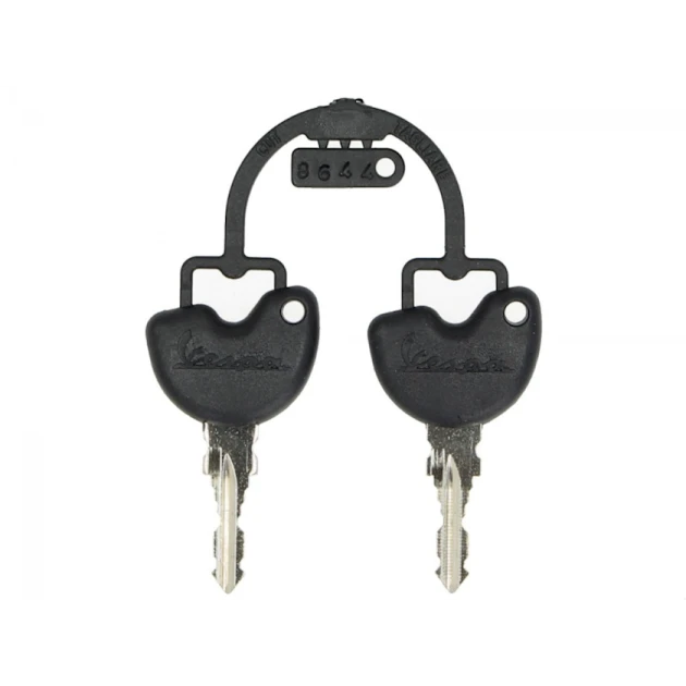 Мотокофр для мотоцикла Vespa Primav Era 896/A, пластик, красный, 32 л Мотокофр для мотоцикла Vespa Primav Era 896/A, пластик, красный, 32 л