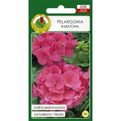 Семена цветов PNOS Pelargonia Rabatowa, 10 шт