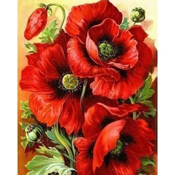 Алмазная мозаика Diamond Mosaic Маки, 40х50 см