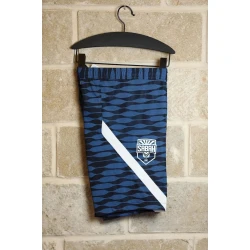 Шорты для болельщиков Nike FN2401-010/2, разноцветный, текстиль, размер S