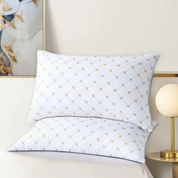 Подушка FA-93, размер 50х70см, 2 шт. Подушка FA-93, размер 50х70см, 2 шт.