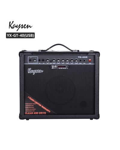 Kombo gücləndirici Smiger TG-40 USB - TG-40USB