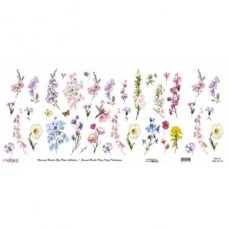 Dekupaj üçün düyü kağızı Cadence Universal Bordure 30x68, UBC-013-30
