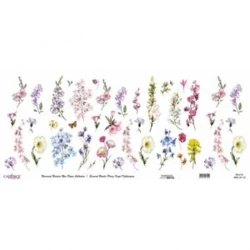 Рисовая бумага для декупажа Cadence Universal Bordure 30x68, UBC-013-30