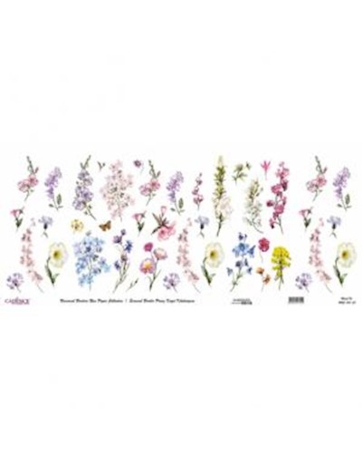 Dekupaj üçün düyü kağızı Cadence Universal Bordure 30x68, UBC-013-30