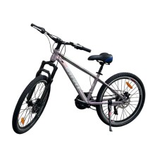 Bicycle Start Ride 24