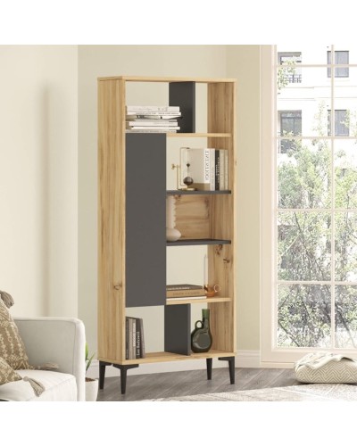 Stellaj Ev Plus ev_13111200, LDSP, antrasit/bej, 1630x720x300 mm