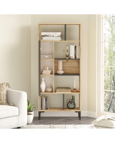 Stellaj Ev Plus ev_13111200, LDSP, antrasit/bej, 1630x720x300 mm