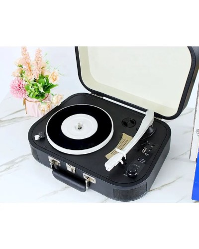 Vinil plastin pleyeri Goka GK-RP07
