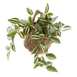 Корзина JYSK Ingver, 14x14x13 см, бежевый