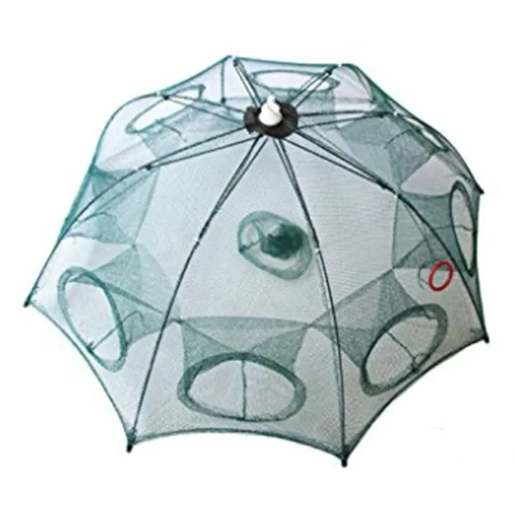 Balıq toru Balıq toru