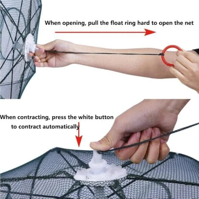 Balıq toru Balıq toru