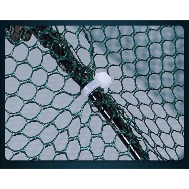 Balıq toru Balıq toru