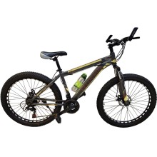 Yolsuzluq velosipedi Qln Velacruz-2, 29, sarı/qara