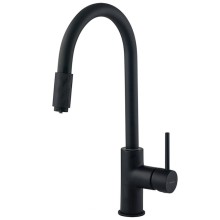 Mətbəx üçün qarışdırıcı Deante Aster BCA N64M, bürünc, qara