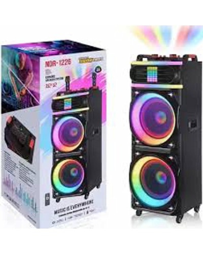 Speaker-1598 1000w 868943443466