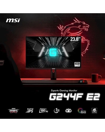 Monitor 23.8