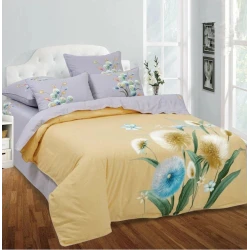 Комплект постельного белья Артпостель Лусия, пододеяльник 200x220 см, простыня 220x240 см, наволочка 50x70/70x70 см, евро, велюр, желтый